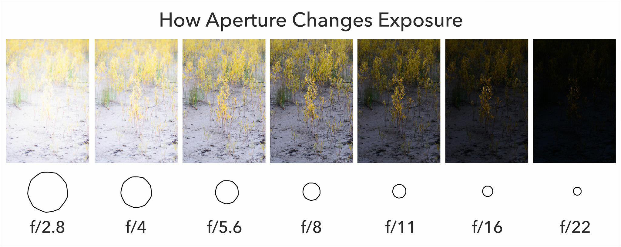 aperture-examples2.jpg